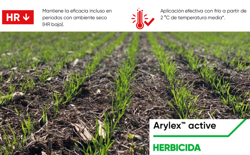 “ARYLEX” LA MATERIA ACTIVA CON MAYOR EFICACIA DESDE 2ºC