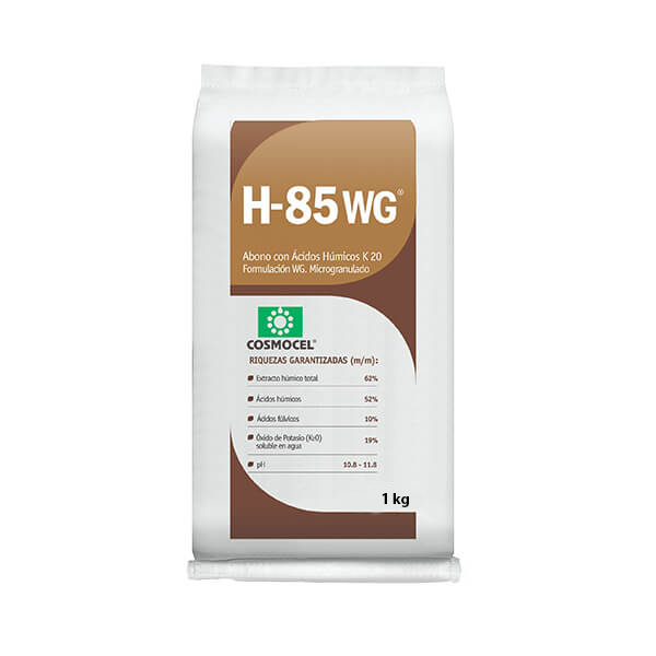 H-85 -1 KGS-