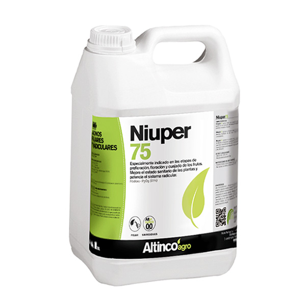 NIUPER 75-5 KGS-