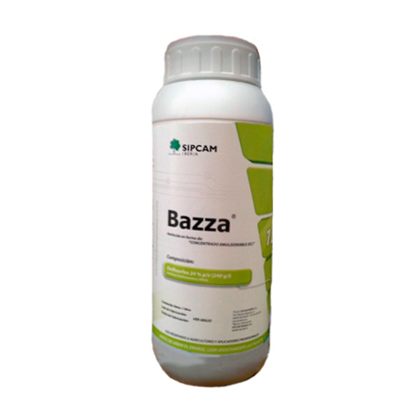 BAZZA-1 LTS-