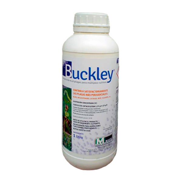BUCKLEY-1 LTS-