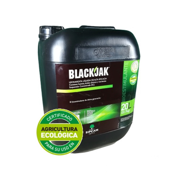 BLACKJAK-20 LTS-