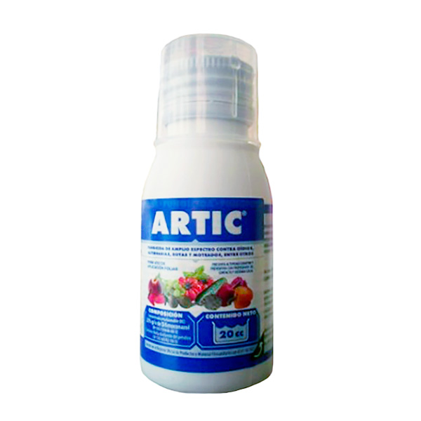 ARTIC .-36x20 C.C.-* J.E.D.