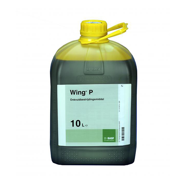WING P -10 LTS-