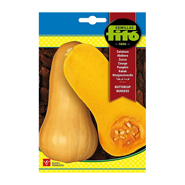 CALABAZA BUTTERNUT (WALTHAM )-100 GRS.-