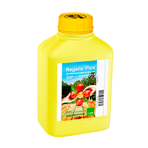 REGALIS PLUS -1.5 KGS.-€/KGS