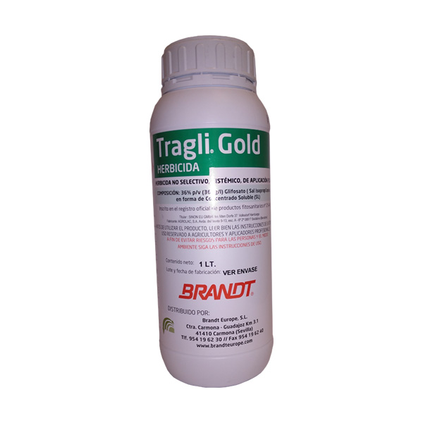 TRAGLI GOLD-12x1 LTS-