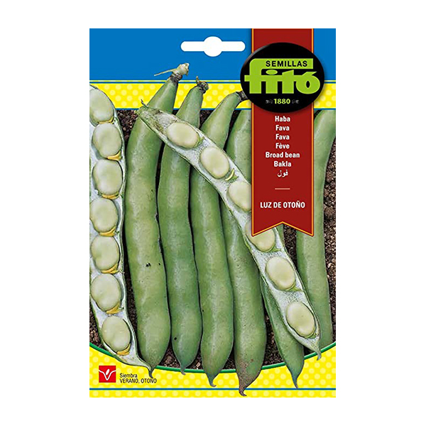 ANTIOIDIO-12.5 -100 CC-