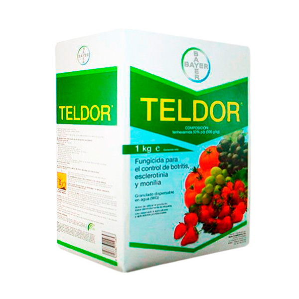 TELDOR-1 KGS-