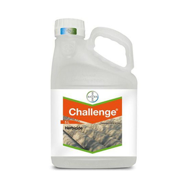 CHALLENGE-5 LTS-