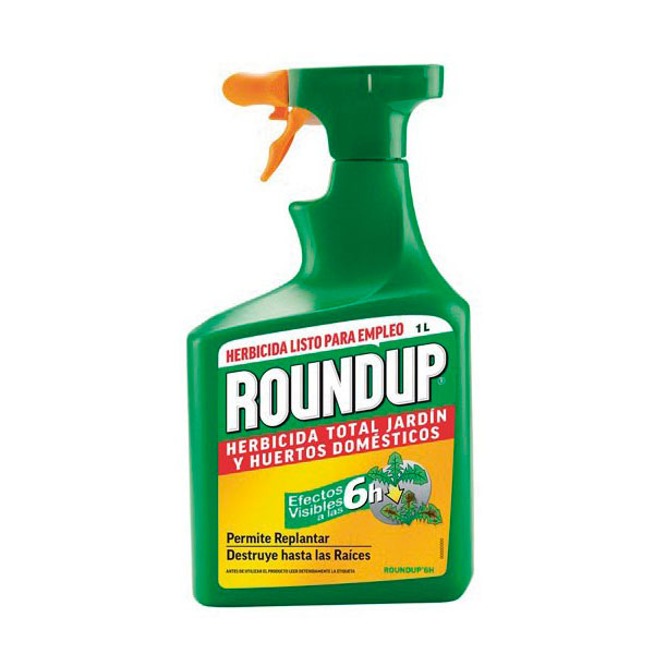 PISTOLA ROUNDUP 6 H -J.E.D.