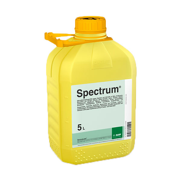 SPECTRUM -5 LTS-