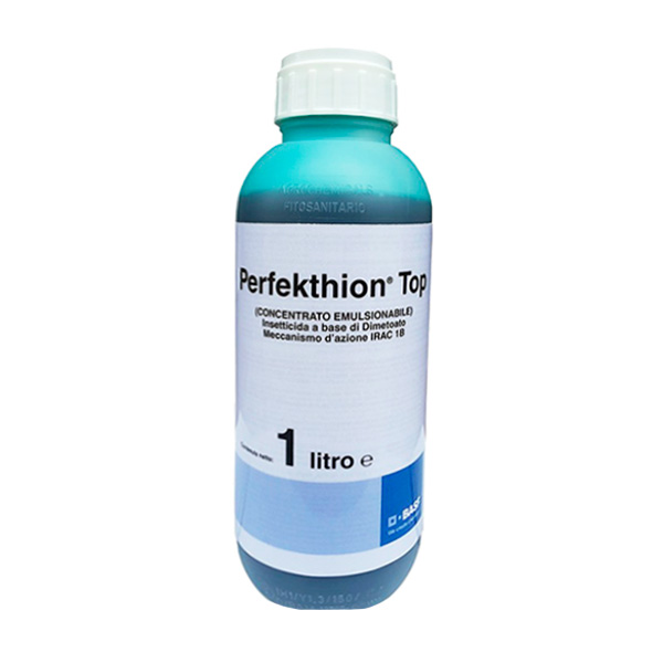 PERFEKTION TOP-1 LTS-