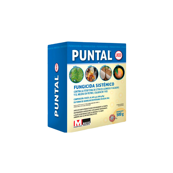 PUNTAL-500 GRS.-J.E.D.