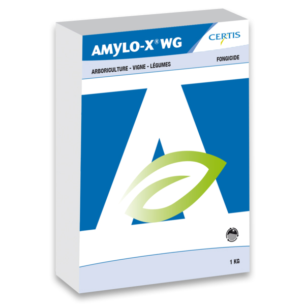 AMYLO X WG-10x1 KGS-