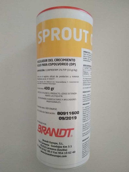 SPROUT OUT -400 GRS-