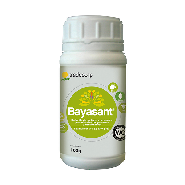 BAYASANT- 100 GRS-