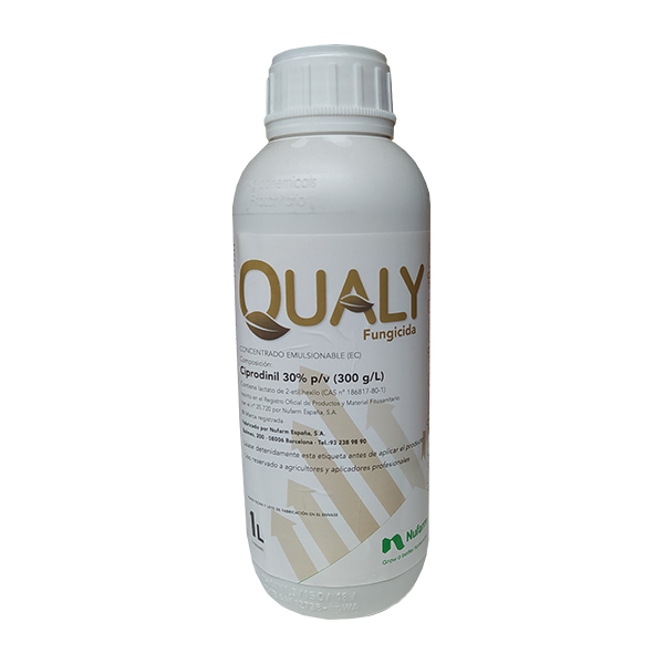 QUALY-12x 1 LTS-