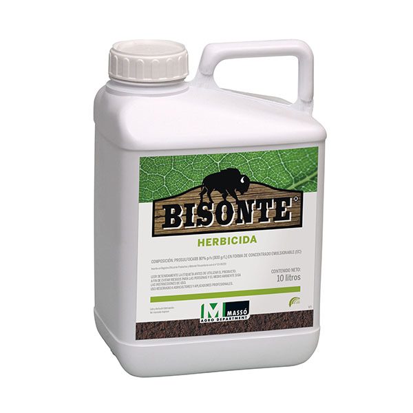 BISONTE-10 LTS-