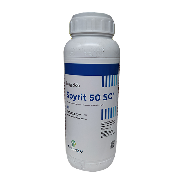 SPYRIT 50-1 LTS-