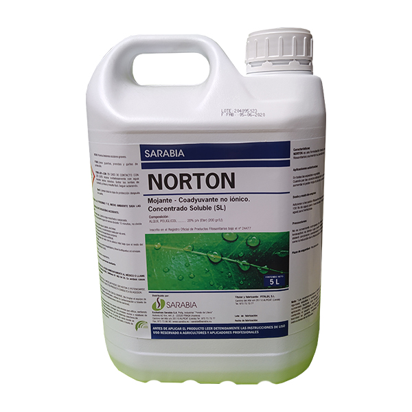 NORTON -5 LTS-