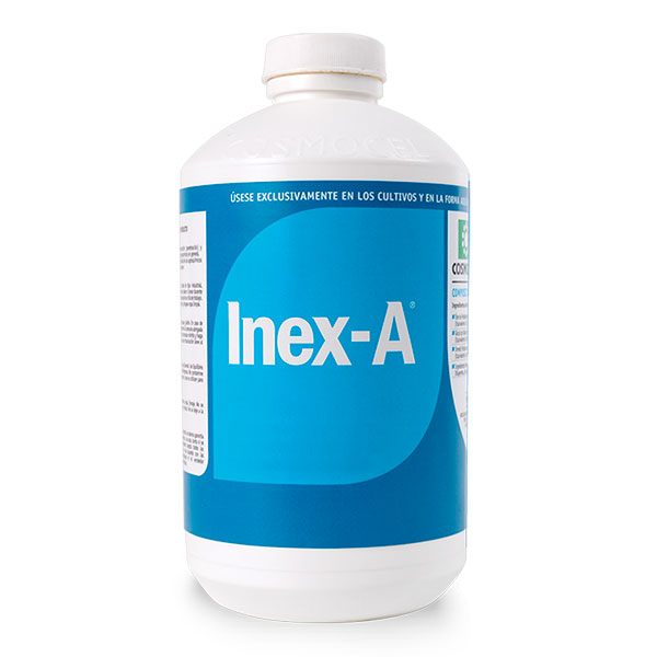 INEX -A -20 LTS.-