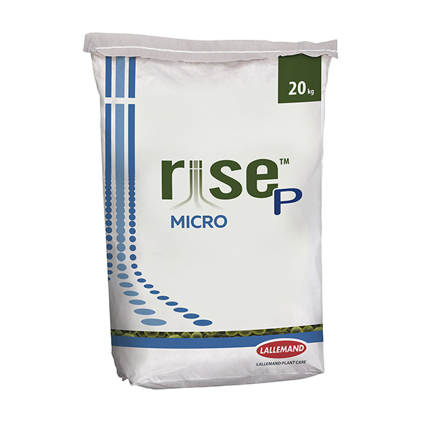 RISE-P MICRO-20 KGS-
