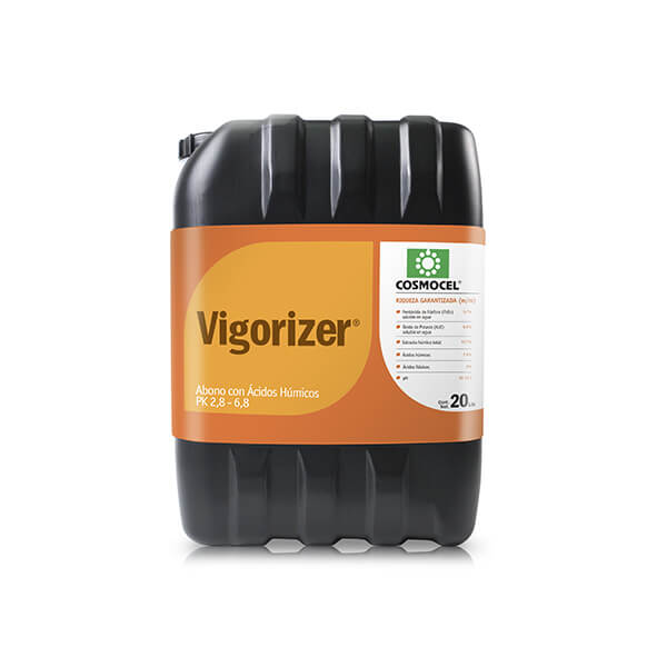 VIGORIZER - 20 LTS-