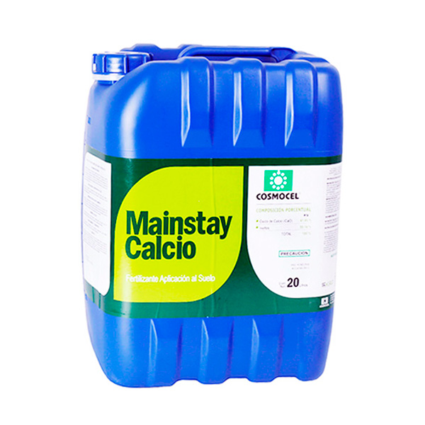 MAINSTAY CALCIO-20 LTS-