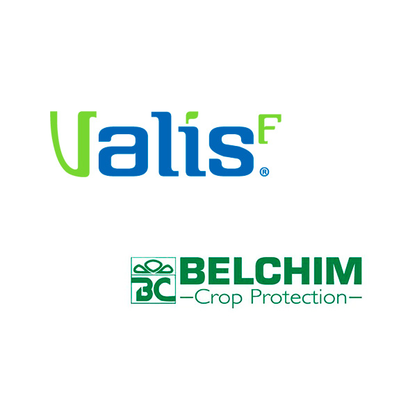VALIS F WG-10x1 KGS-