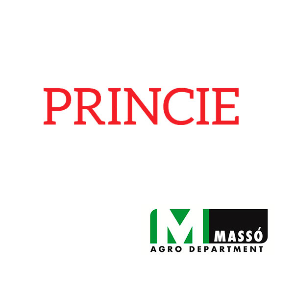 PRINCIE 20 12X1-LTS-