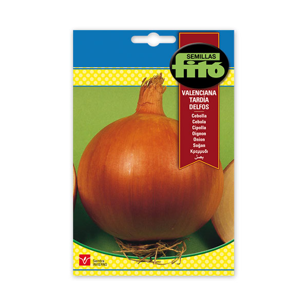 CEBOLLA VALENCIANA DELFOS- SUPERB-