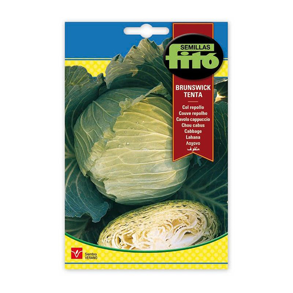 COL REPOLLO TENTA-25 GRS-