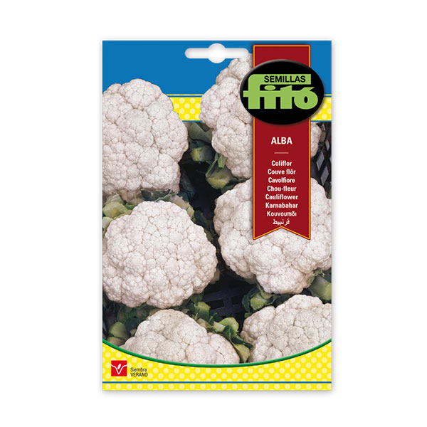 COLIFLOR ALBA-SUPERBOL-