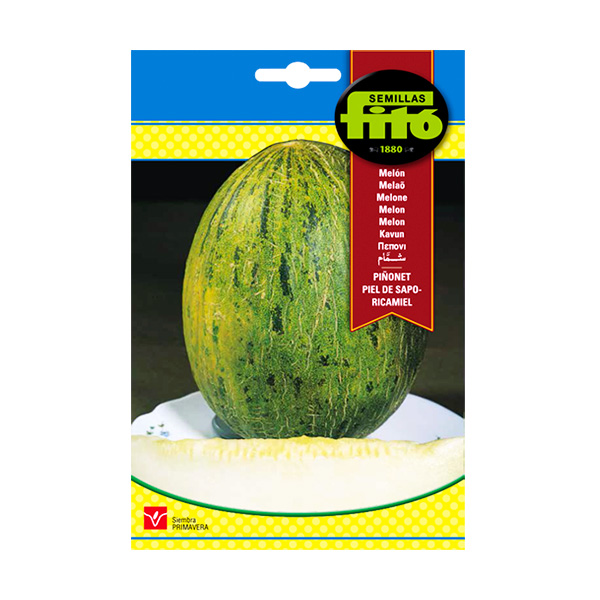 MELON RICAMIEL PIEL SAPO-SB-