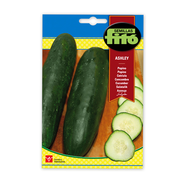 PEPINO ASHLEY-10 GRS-