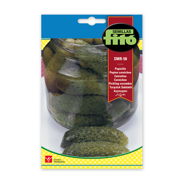 PEPINILLO SMR-58 CORNICHON-10 GRS-