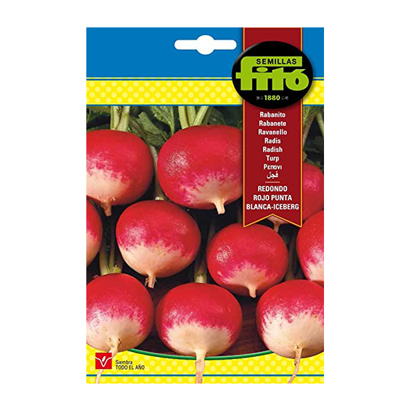 RABANITO R.R.. P.B. ICEBERG-25 GRS-