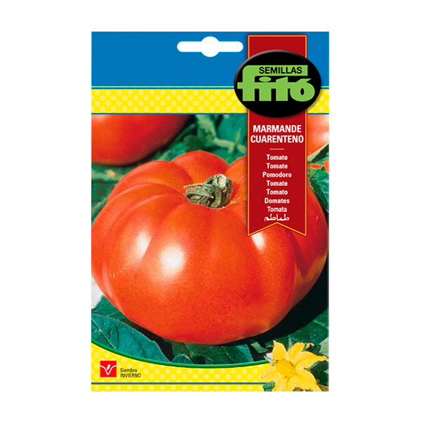 TOMATE MARMANDE CUARENTENO-SUPERBOL-