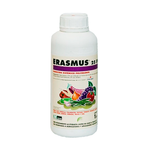 ERASMUS-1 LTS-
