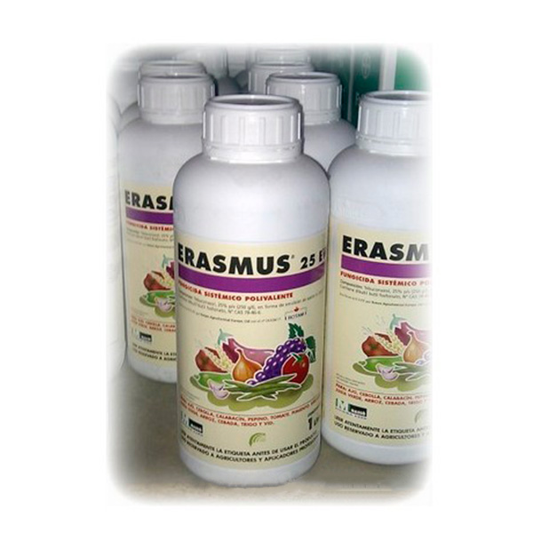 ERASMUS-5 LTS-