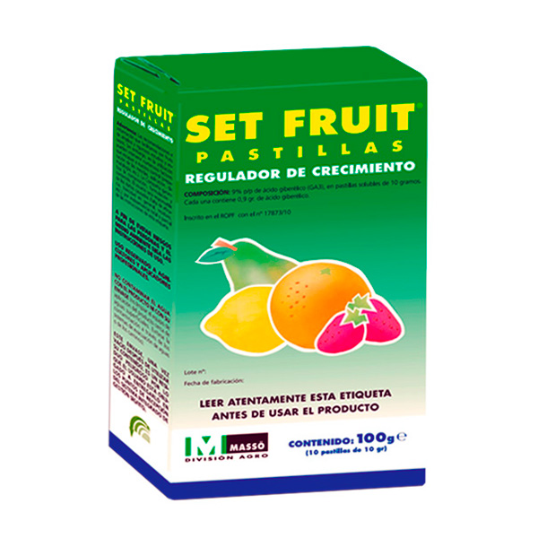 SET FRUIT-PASTILLAS-