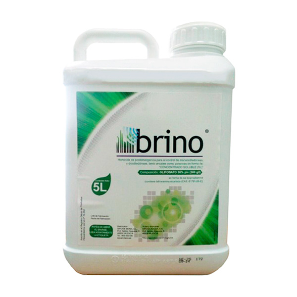 BRINO GREEN-5 LTS-