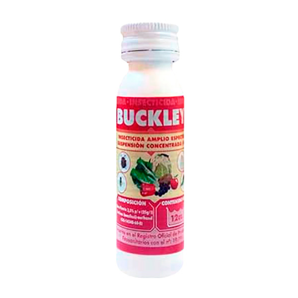  NO VALIDO BUCKEY-15 C.C-J.E.D.