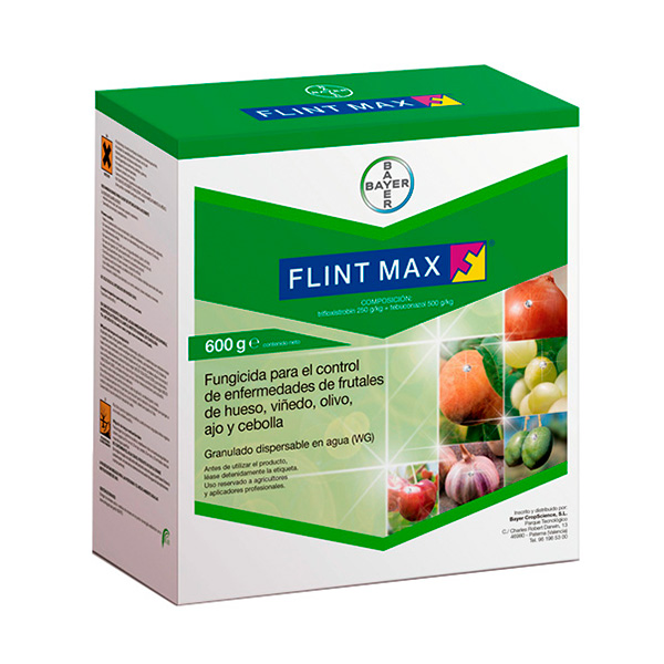 NO VALIDO FLINT MAX -600 GRS-