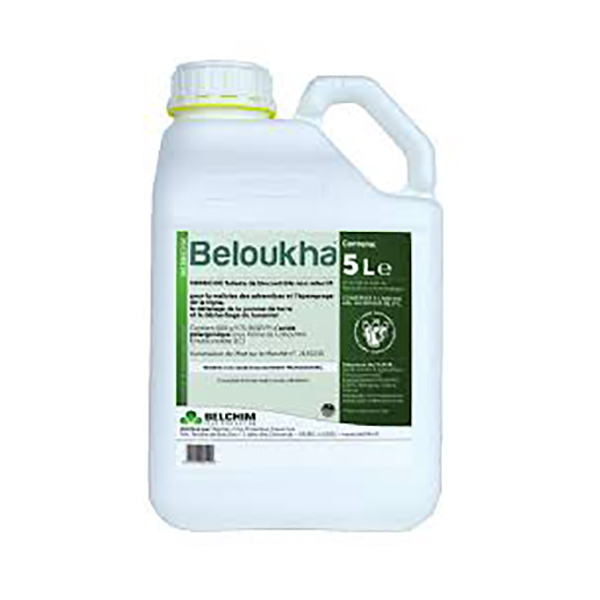 BELOUKHA- 2x10 LTS-