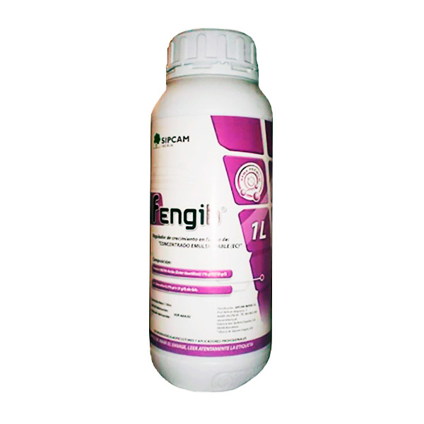 FENGIB-1 LTS-