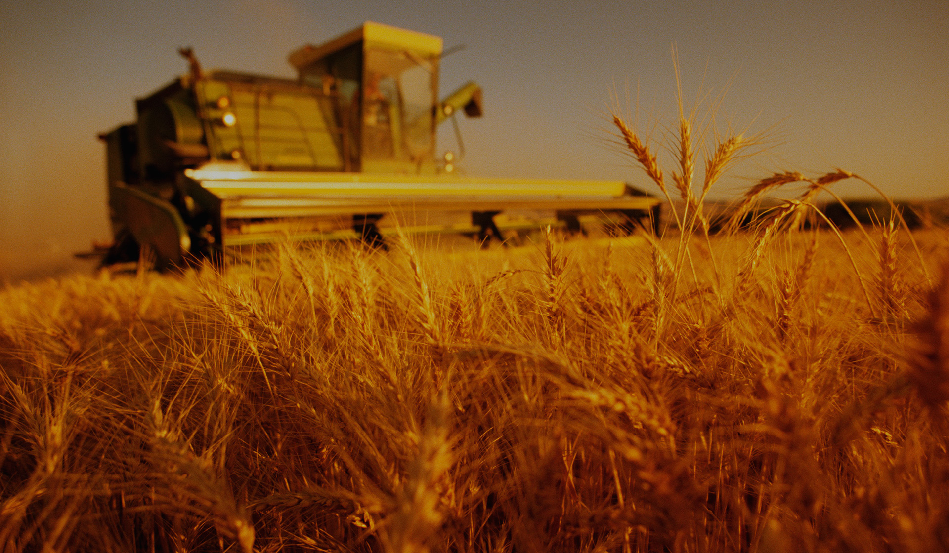 Agrozar: Agroquímicos y Fitosanitarios para la agricultura